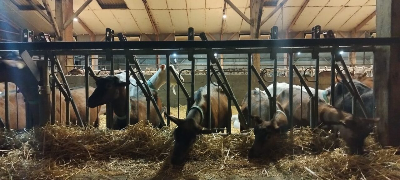 image00009-1280×576