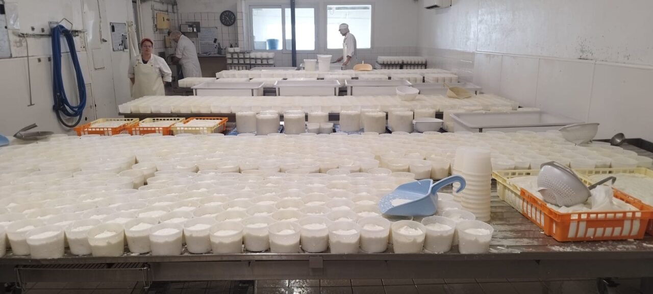 image00034-1280×576