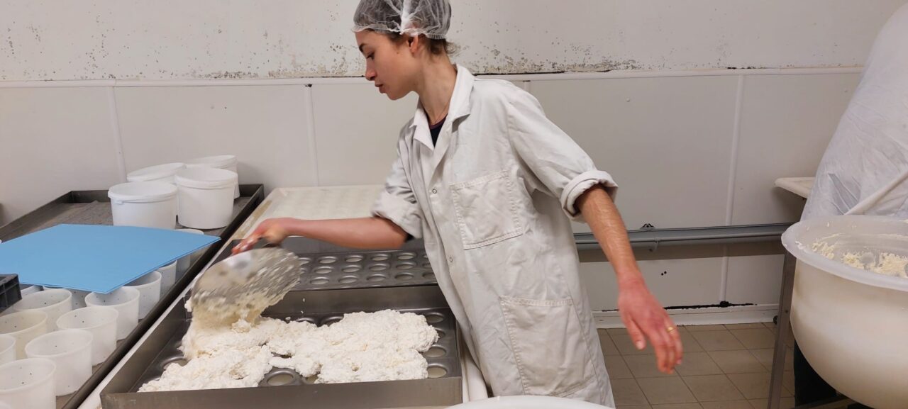 image00046-1280×577