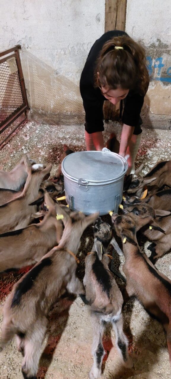 image00117-577×1280