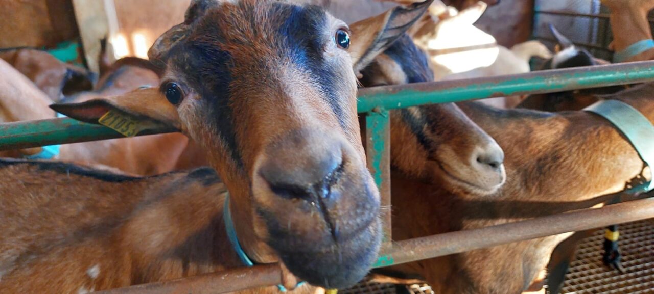 image00121-1280×577