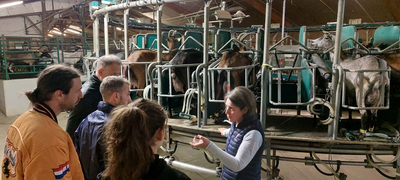 immersion-en-fabrication-fermiere-lactique